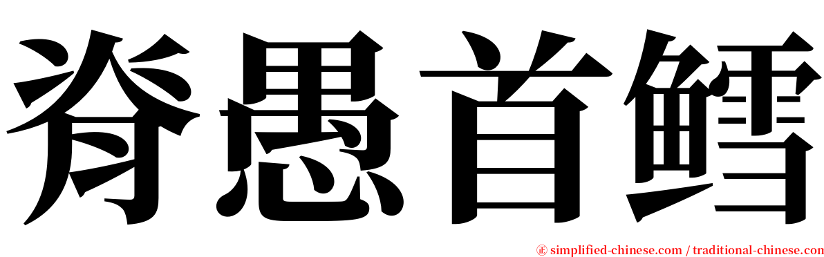 脊愚首鳕 serif font