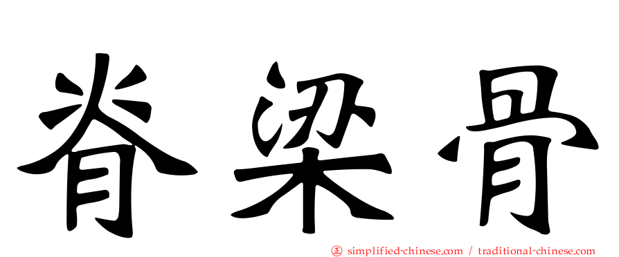 脊梁骨