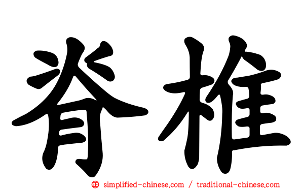 脊椎