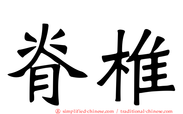 脊椎