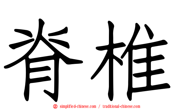 脊椎