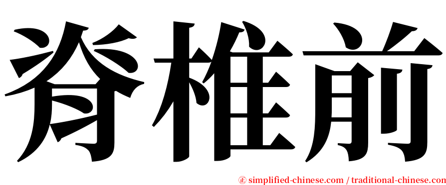 脊椎前 serif font