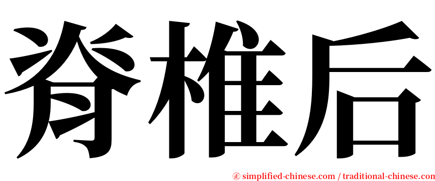 脊椎后 serif font