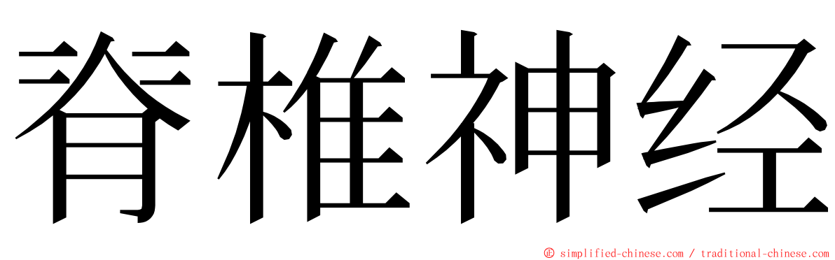 脊椎神经 ming font