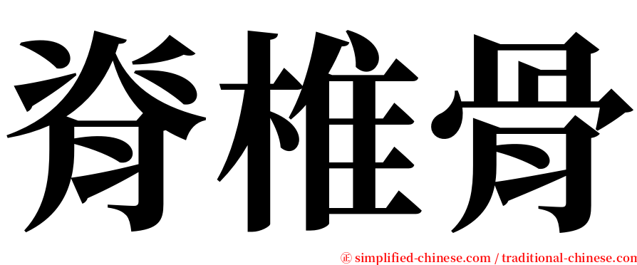 脊椎骨 serif font