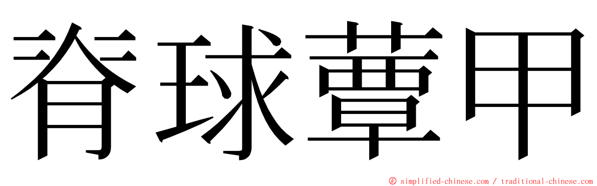 脊球蕈甲 ming font