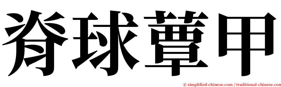 脊球蕈甲 serif font