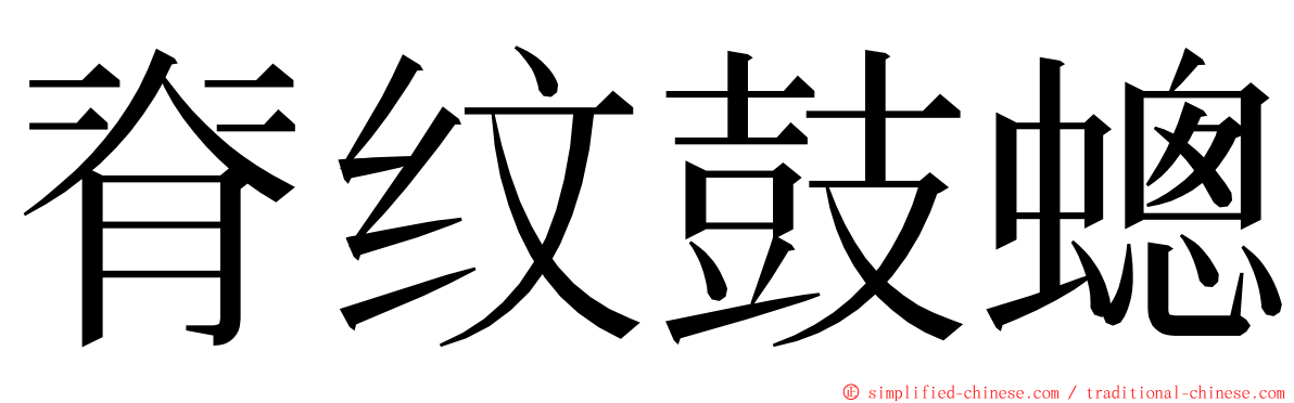 脊纹鼓蟌 ming font