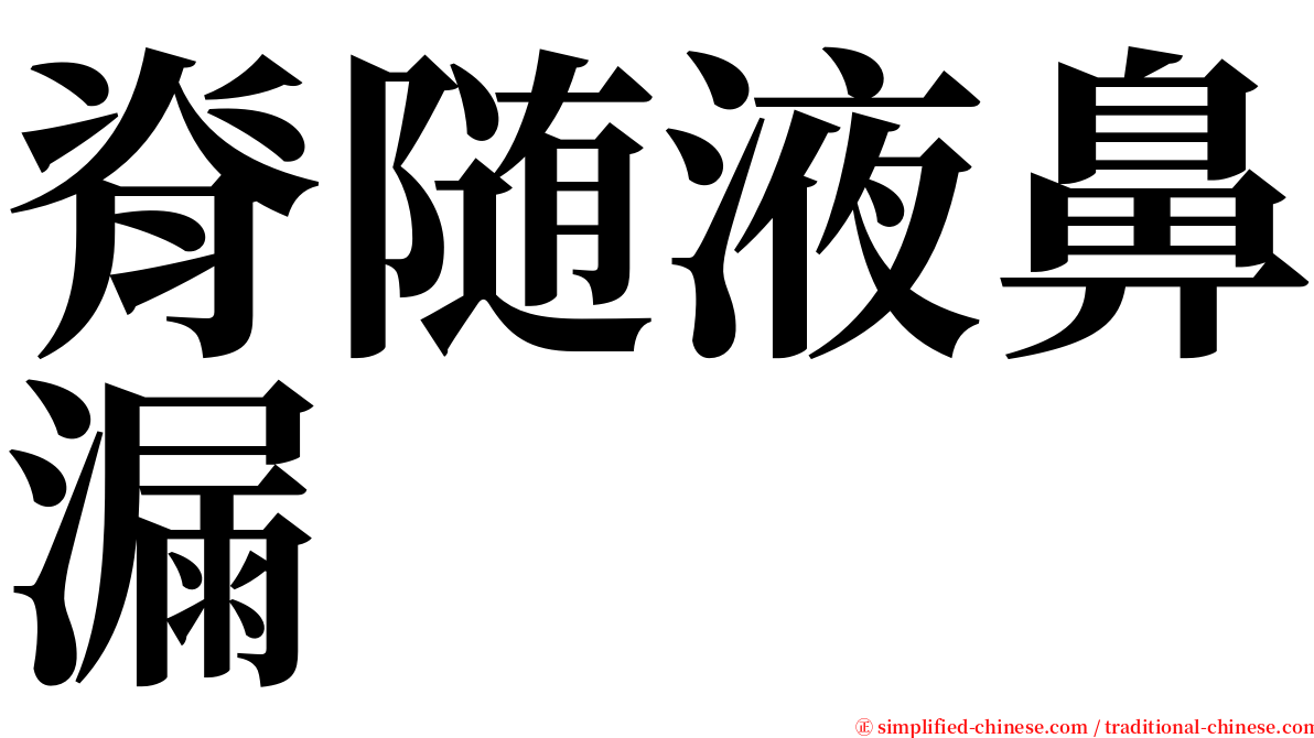 脊随液鼻漏 serif font