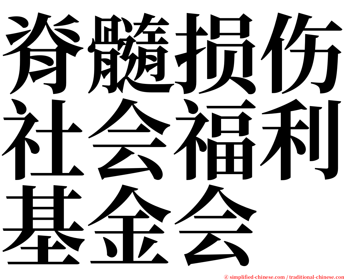 脊髓损伤社会福利基金会 serif font