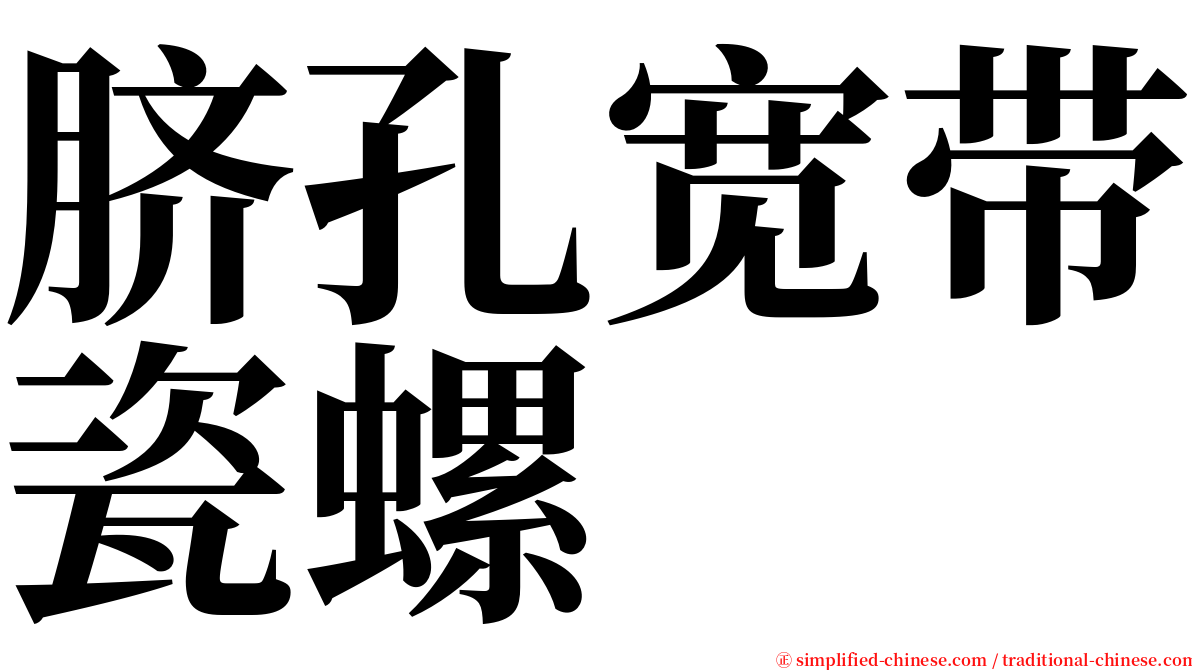 脐孔宽带瓷螺 serif font