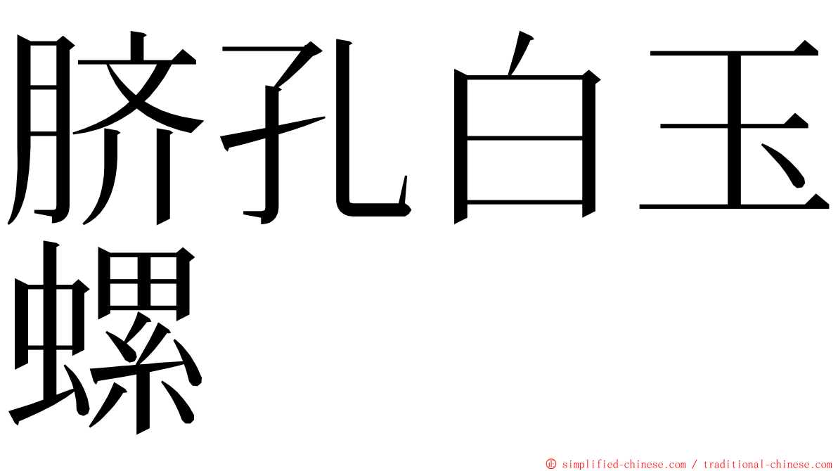 脐孔白玉螺 ming font