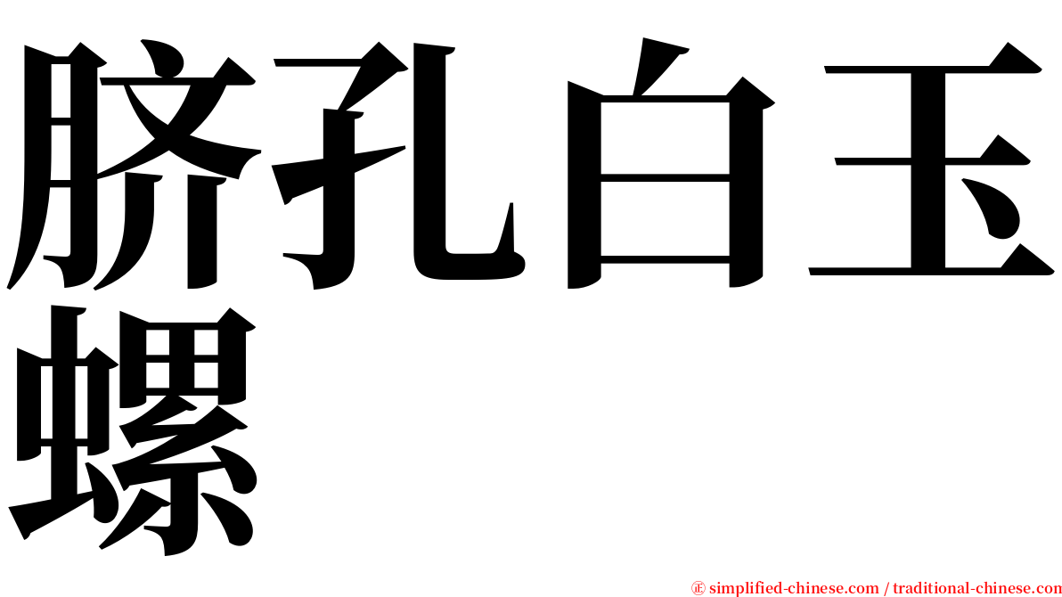 脐孔白玉螺 serif font