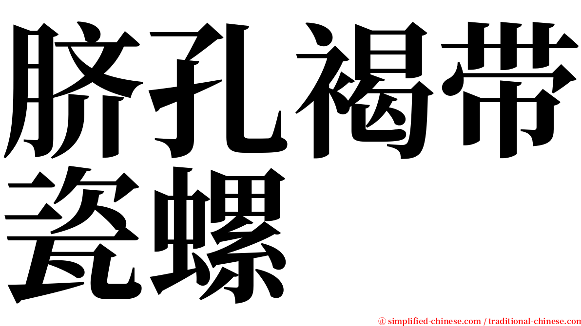 脐孔褐带瓷螺 serif font