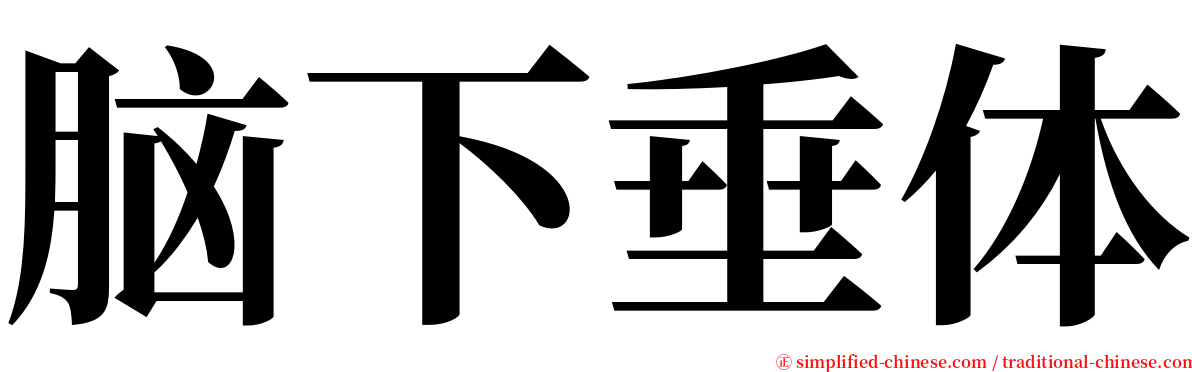 脑下垂体 serif font