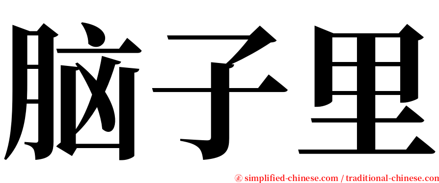 脑子里 serif font