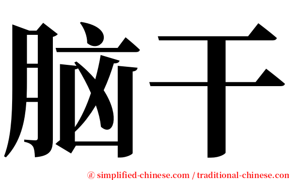 脑干 serif font