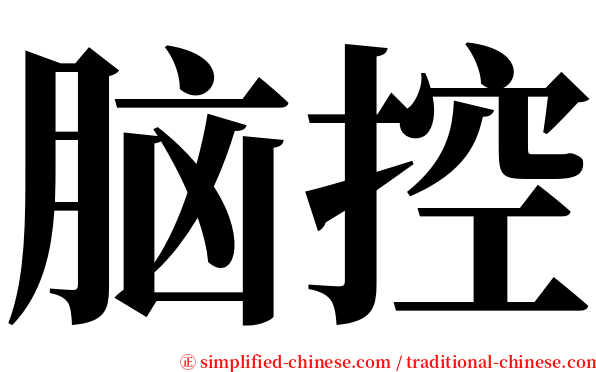 脑控 serif font