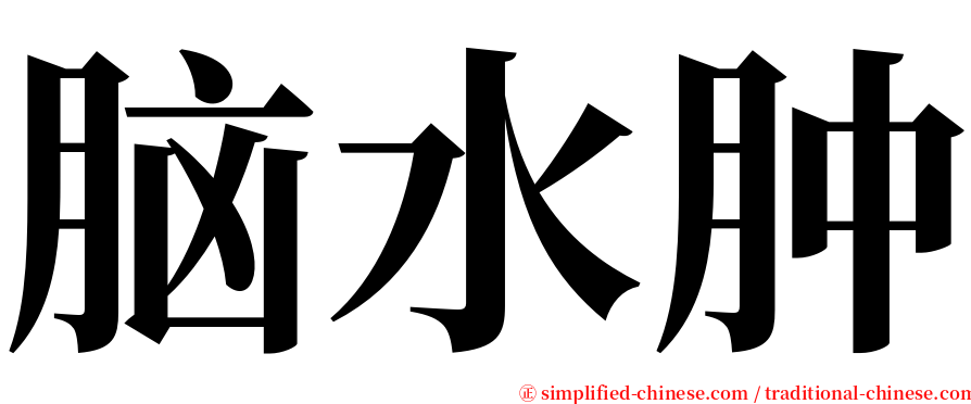 脑水肿 serif font