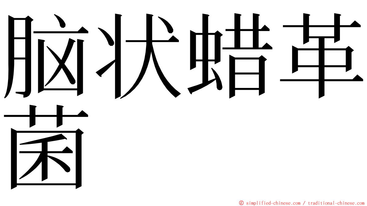 脑状蜡革菌 ming font