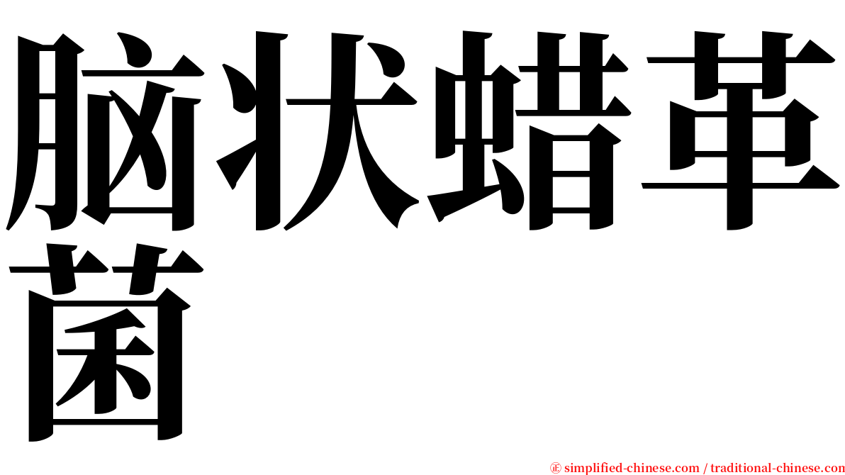 脑状蜡革菌 serif font