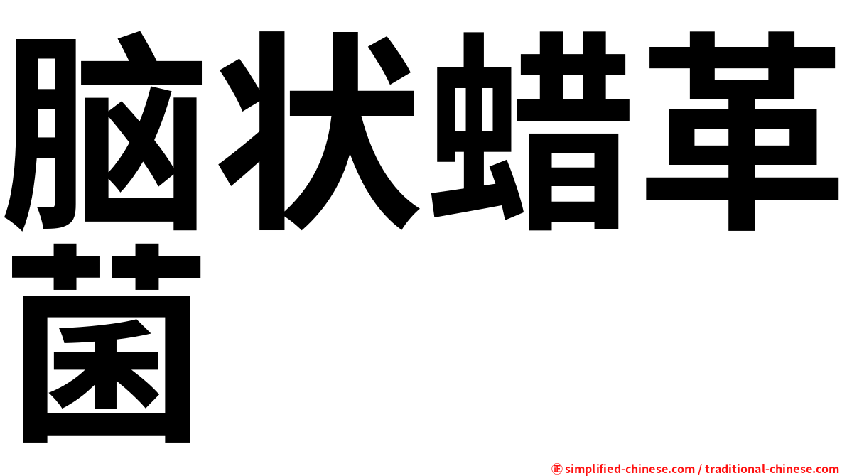 脑状蜡革菌