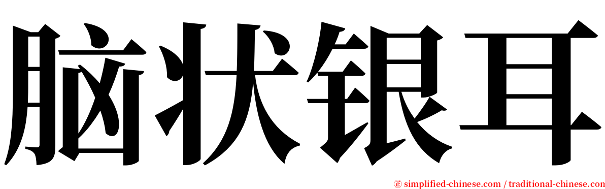 脑状银耳 serif font