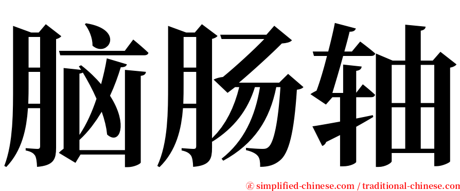 脑肠轴 serif font