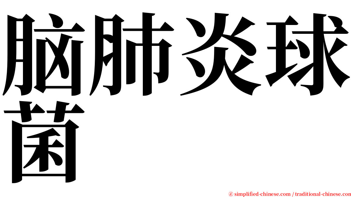 脑肺炎球菌 serif font