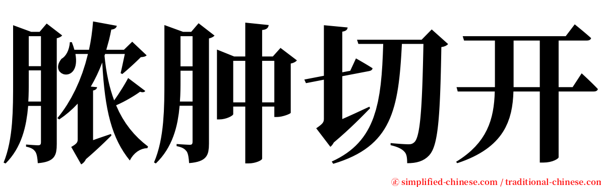 脓肿切开 serif font