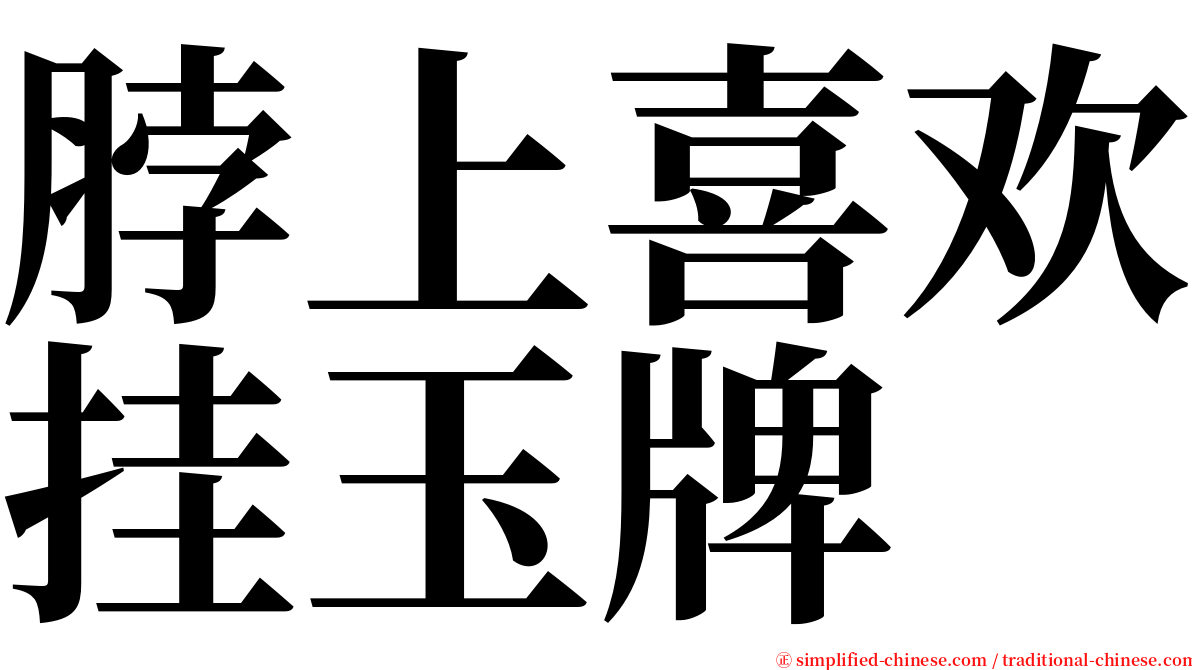 脖上喜欢挂玉牌 serif font