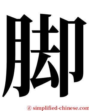 脚 serif font