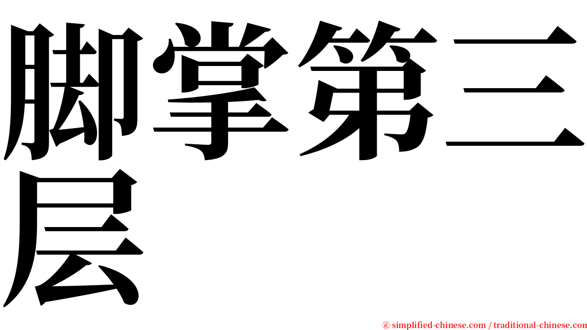 脚掌第三层 serif font