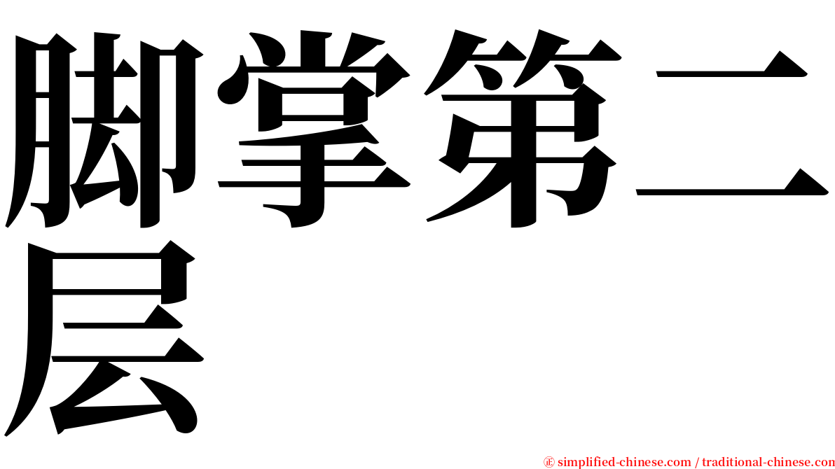 脚掌第二层 serif font