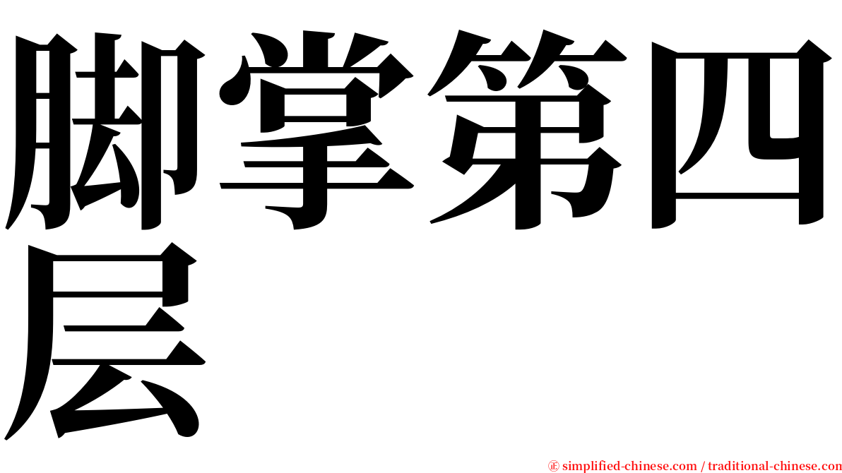 脚掌第四层 serif font