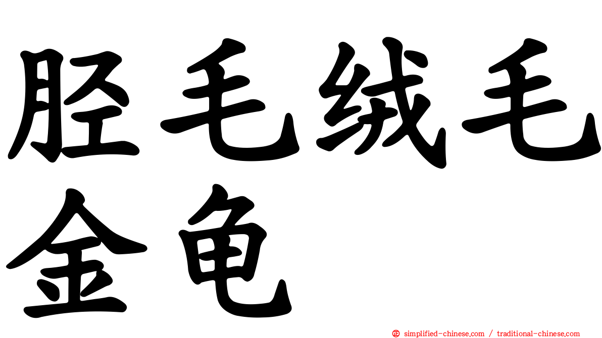 胫毛绒毛金龟