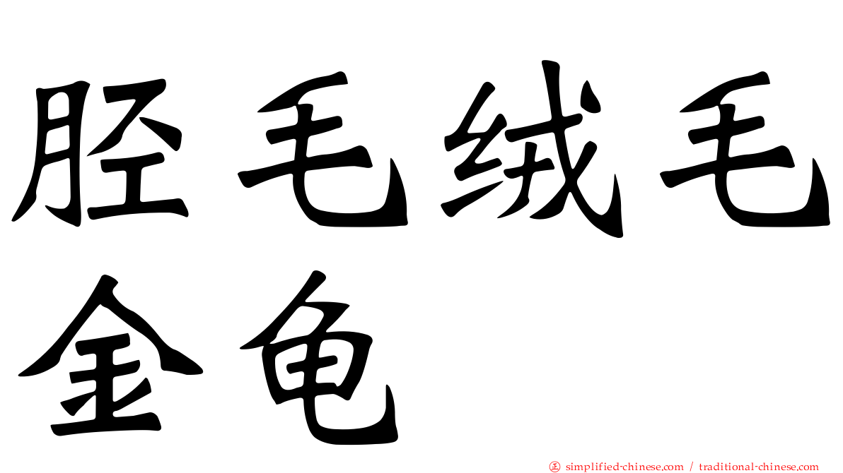 胫毛绒毛金龟