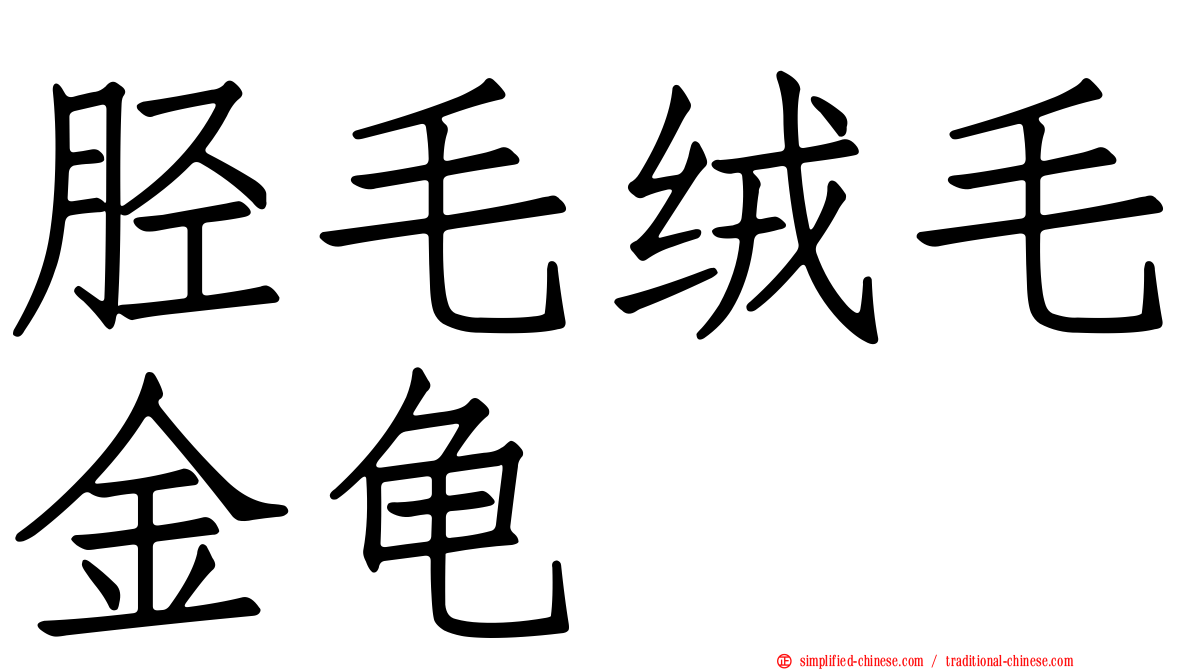 胫毛绒毛金龟