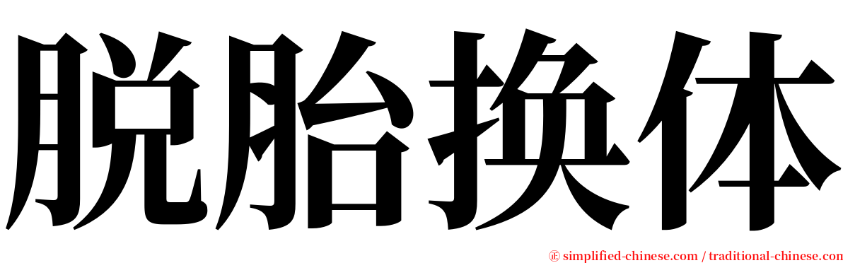 脱胎换体 serif font