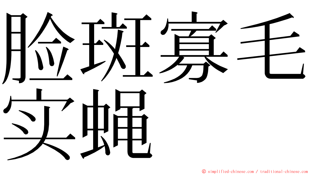 脸斑寡毛实蝇 ming font