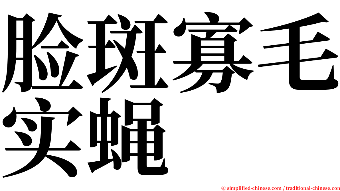 脸斑寡毛实蝇 serif font