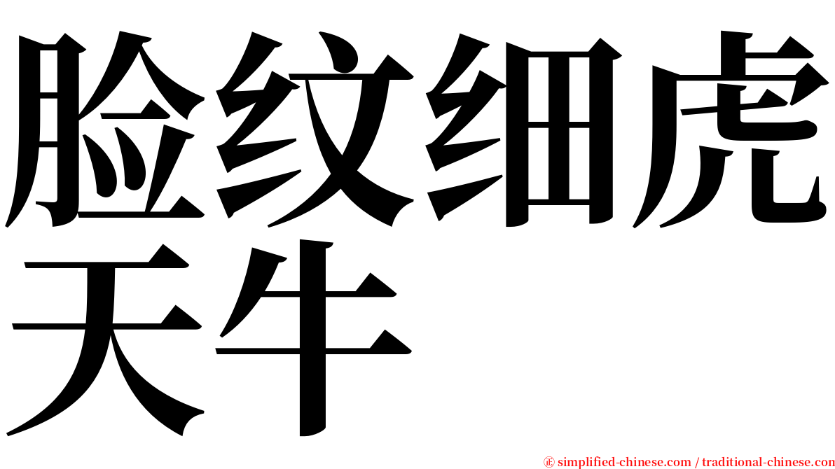 脸纹细虎天牛 serif font