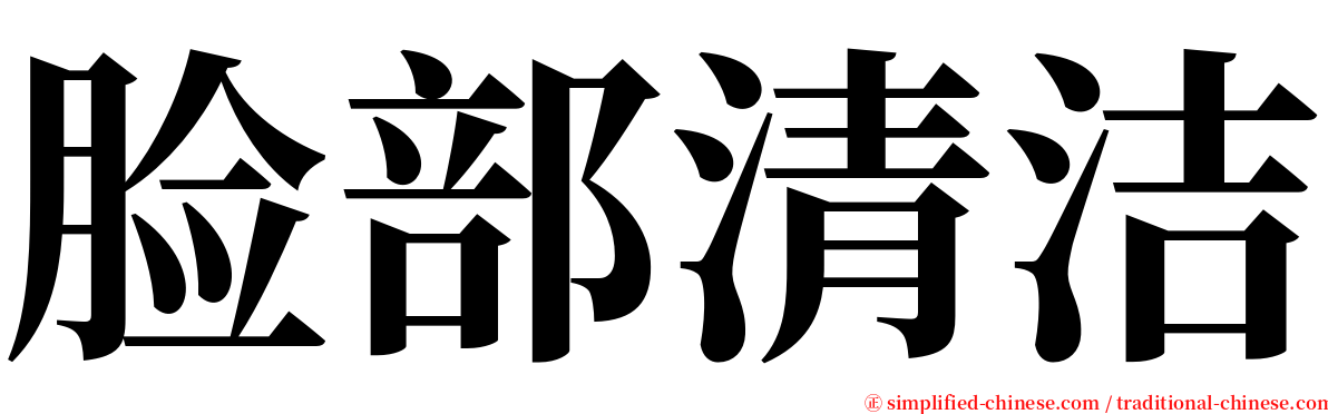 脸部清洁 serif font