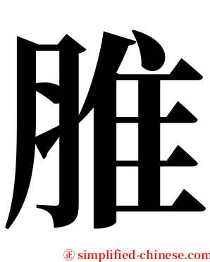 脽 serif font