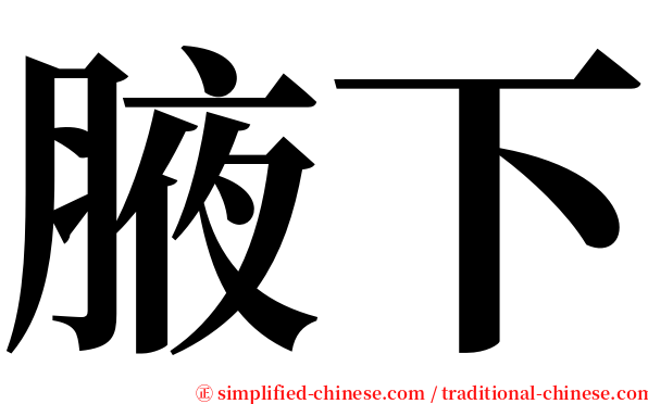 腋下 serif font