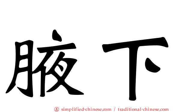 腋下