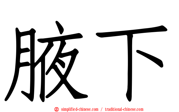 腋下
