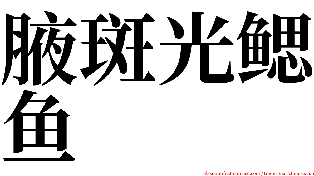 腋斑光鳃鱼 serif font