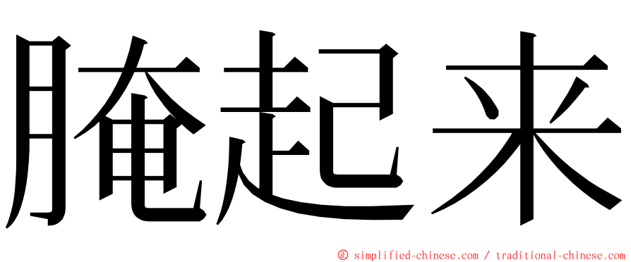 腌起来 ming font