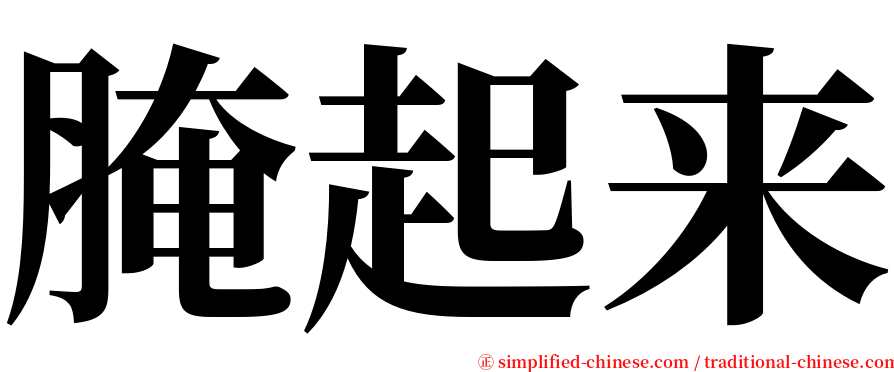 腌起来 serif font